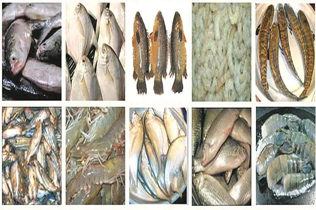 Exporting fish